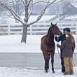 keenland-in-january