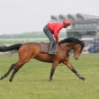 prebsale-exercise-at-newmarket