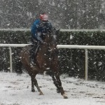 snowy-race