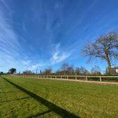 breeze-up-grass-gallops02